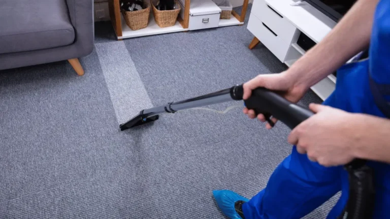 Why Professional Carpet Cleaning Is Essential for a Healthier Home